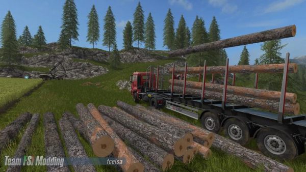 fliegl-timber-runner-with-autoloadwood-script-v1-0-0-17_2