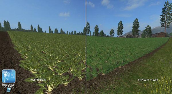 forgotten-plants-sugerbeet-potatoes-v1-0_5