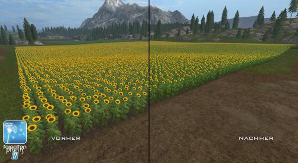 forgotten-plants-sunflowers-v1-0_6