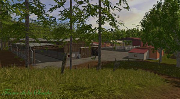 la-vieille-souche-v1_11