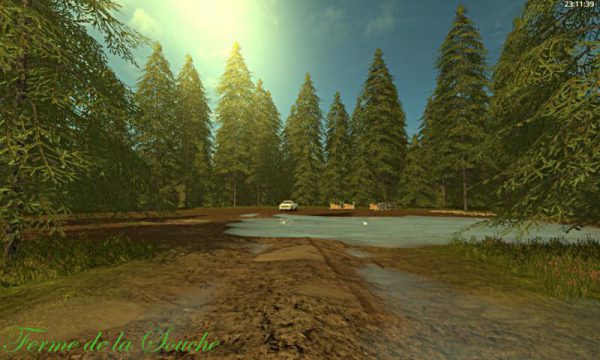 la-vieille-souche-v1_6