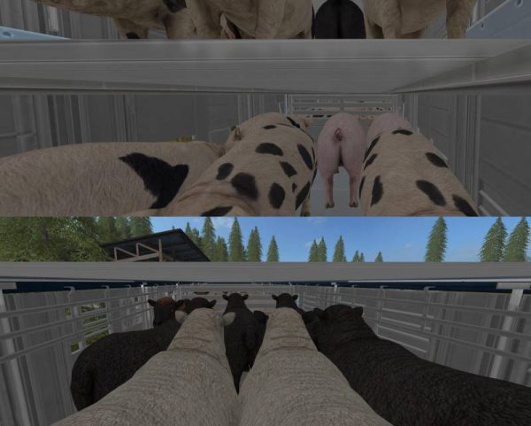 michieletto-am19-livestocktrailer-v1_1